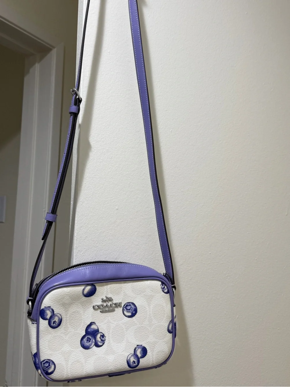 COACH mini jamie camera bag